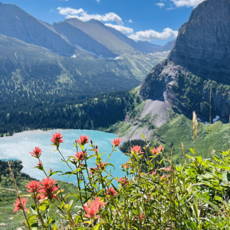 How to Stay Safe in Glacier National Park