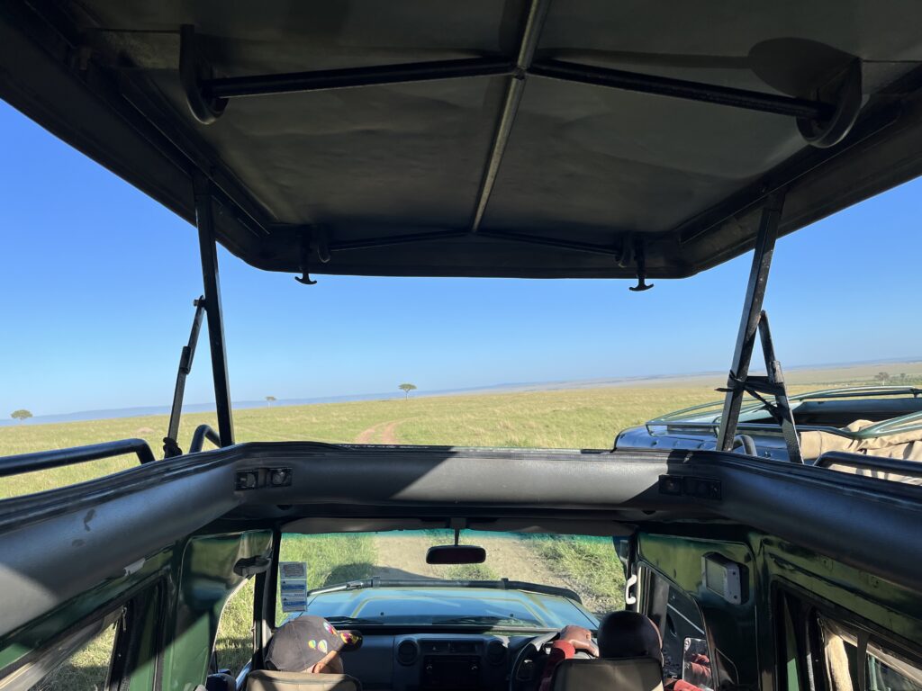 An open jeep along the safari drive. This reflects my tip about safari vehicles-they are not too insulated, so bring sunscreen!