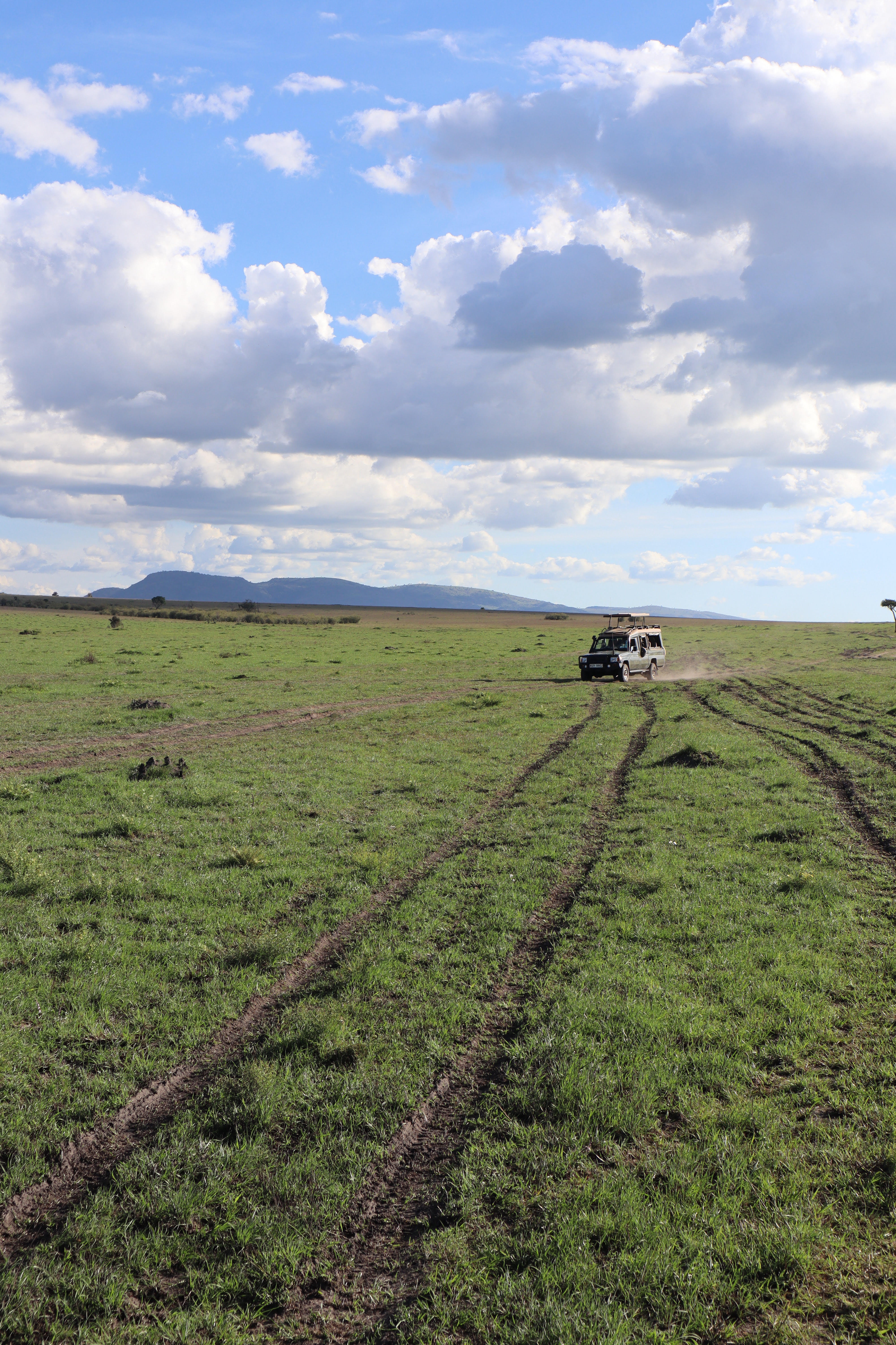 The safari jeep, zooming along the road. This reflects one of my tips for an African safari-respect the guides! They work hard!