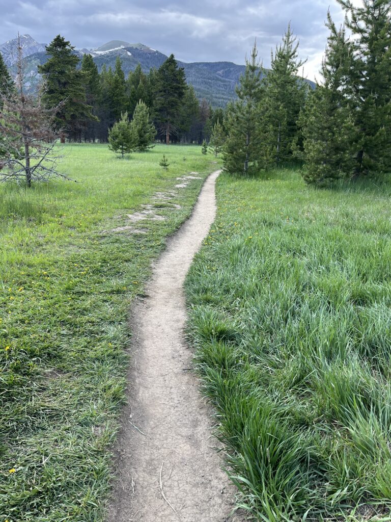 A trail along the Rocky mountains. 